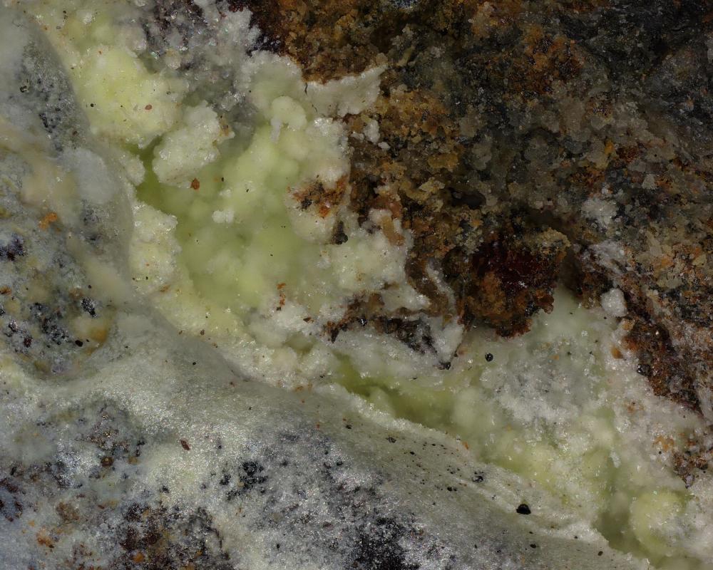Znucalite